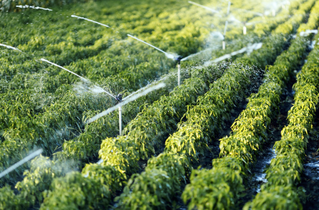 Irrigation Applications