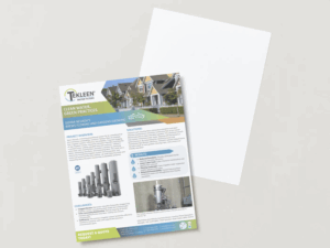 Sierra Nevada Case Study Single Sheet