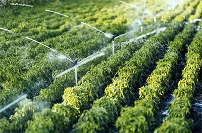 Irrigation Applications